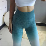 NOLA💖Fitness Pants
